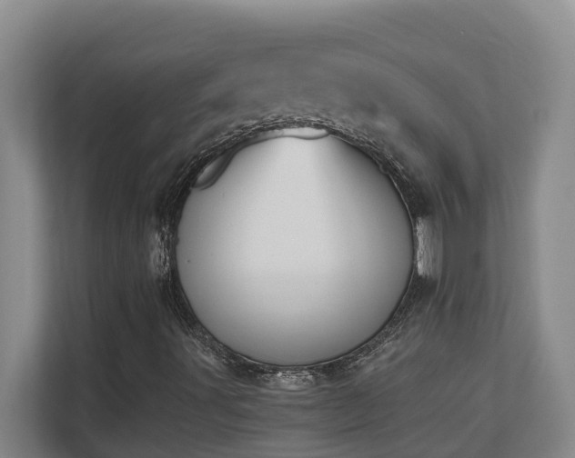 X0000110691491200906121215