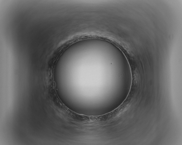 X0000110691494200906121215