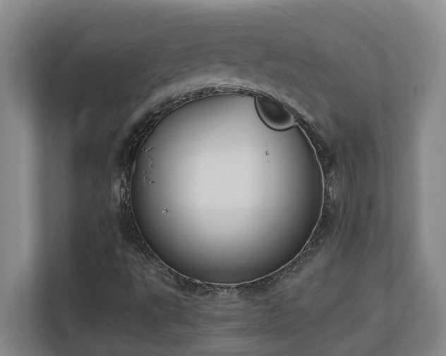 X0000110691495200906121215