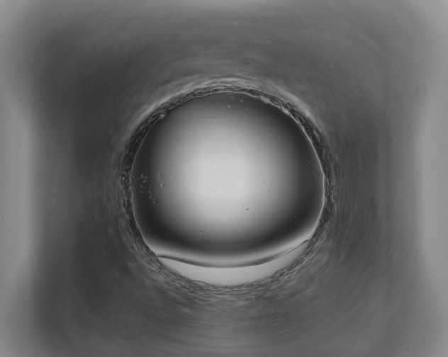 X0000110691496200906121215