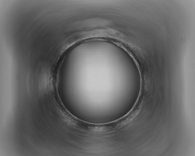 X0000110691497200906121215