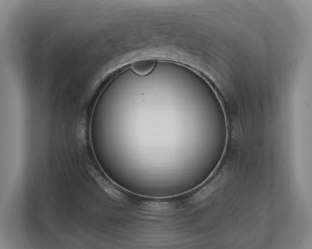 X0000110691499200906121215