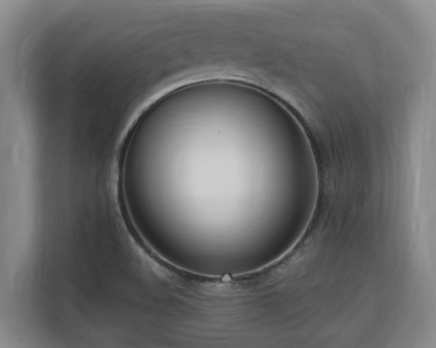 X0000110691508200906121215