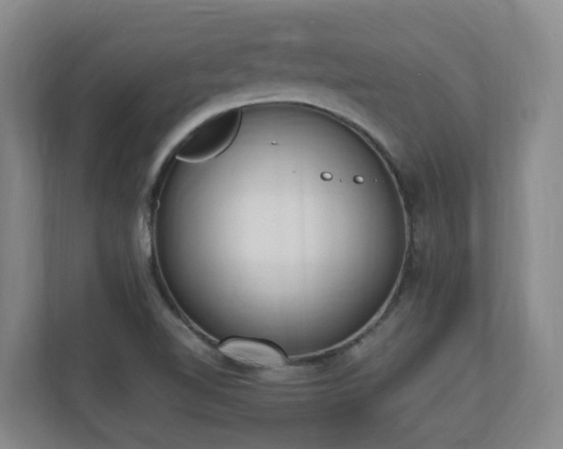 X0000110691510200906121215