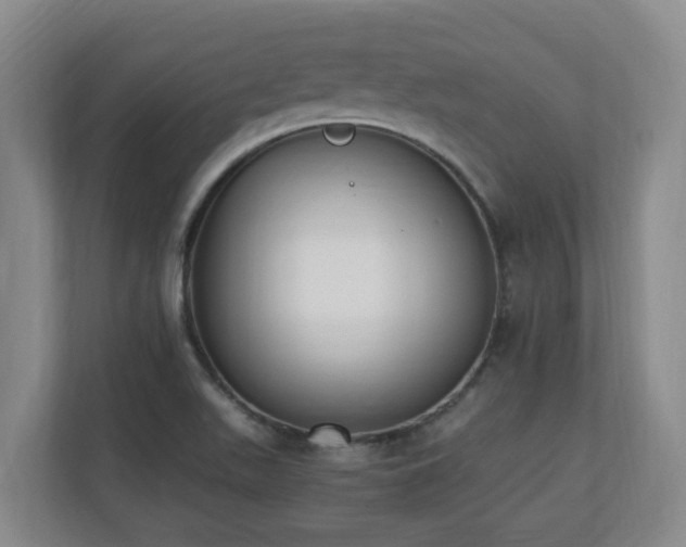 X0000110691511200906121215