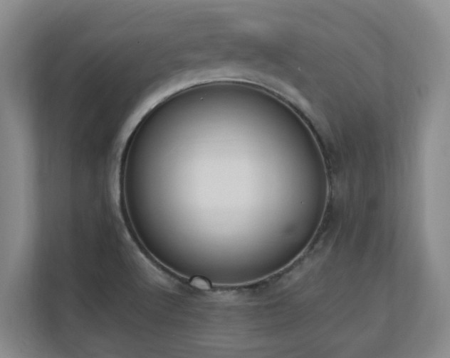 X0000110691512200906121215