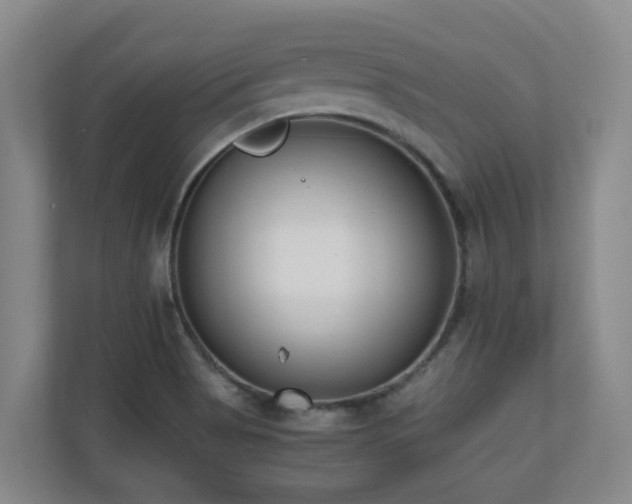 X0000110691513200906121215