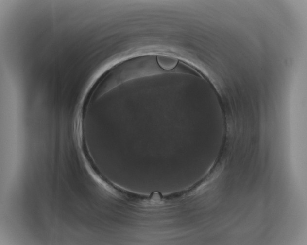 X0000110691515200906121215