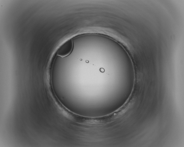 X0000110691517200906121216