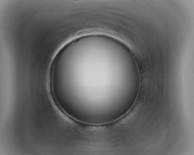 X0000110691518200906121216