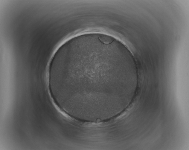 X0000110691519200906121216