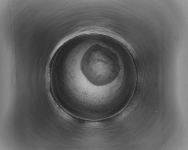 X0000110691522200906121216