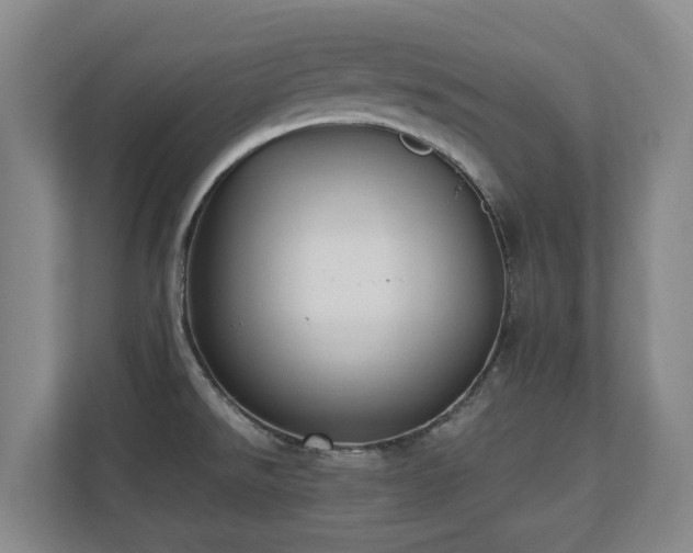 X0000110691526200906121216