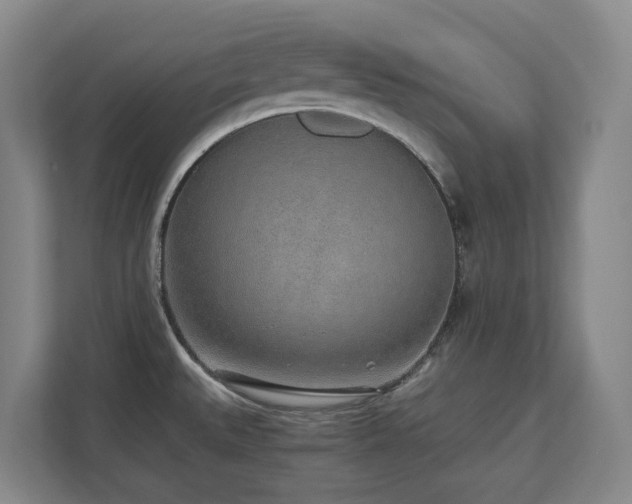 X0000110691527200906121216