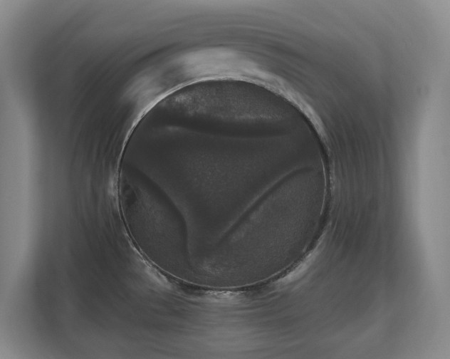 X0000110691529200906121216