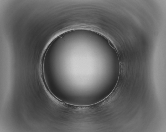 X0000110691531200906121216