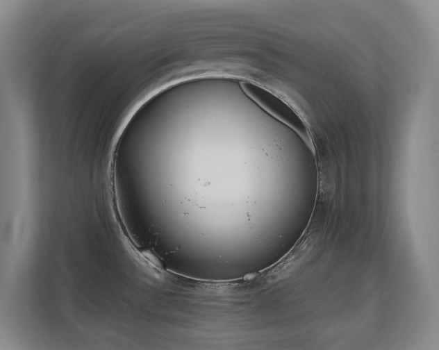 X0000110691532200906121216