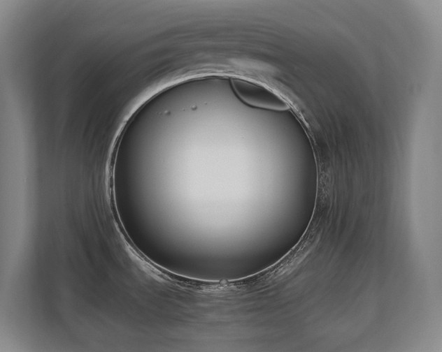 X0000110691535200906121216