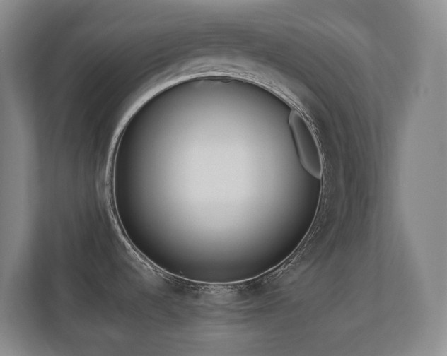 X0000110691536200906121216