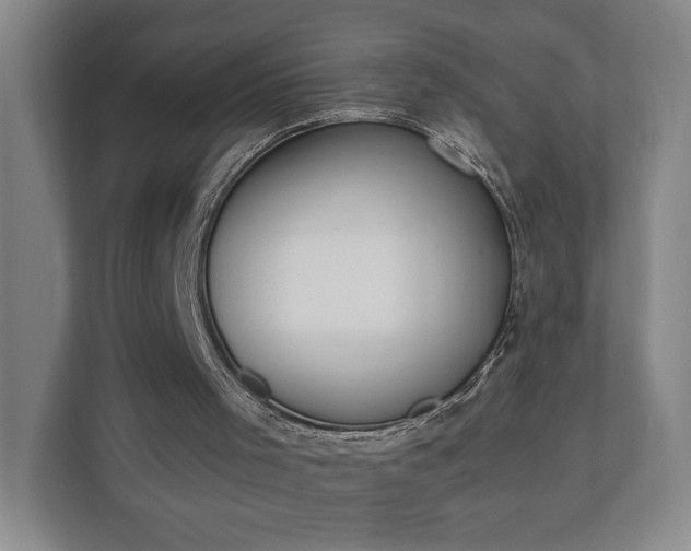 X0000110690001200906191517