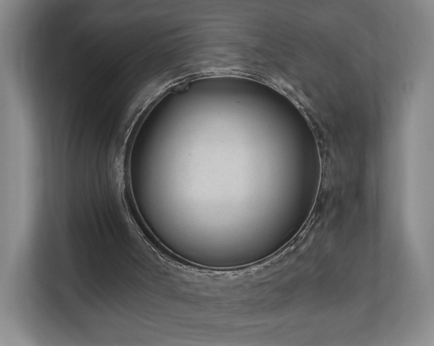 X0000110690002200906191517