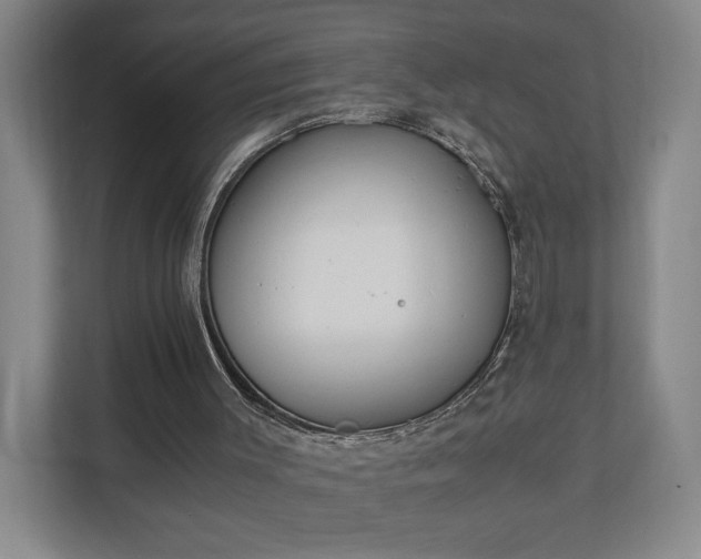 X0000110690003200906191517