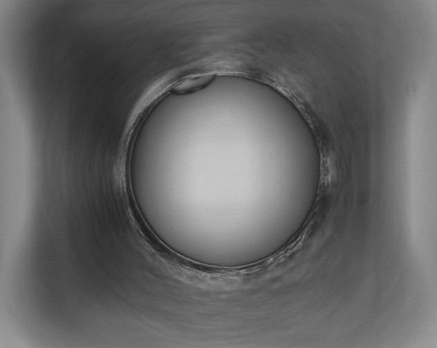 X0000110690004200906191516