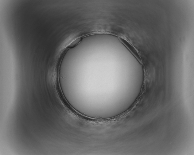 X0000110690005200906191516