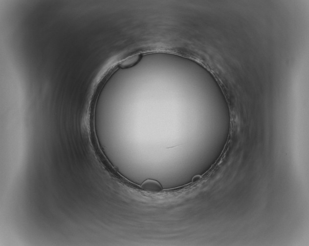 X0000110690006200906191516