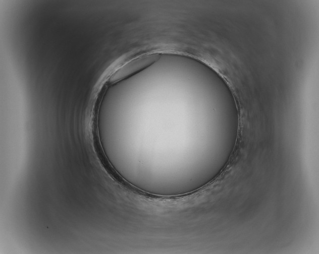 X0000110690007200906191516