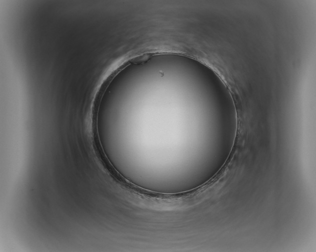 X0000110690008200906191516