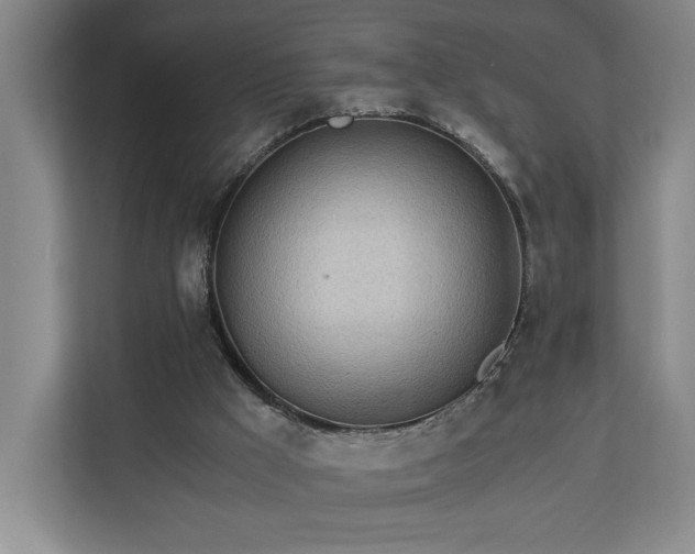 X0000110690009200906191516