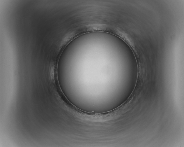 X0000110690010200906191516