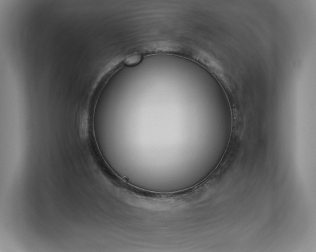 X0000110690012200906191516