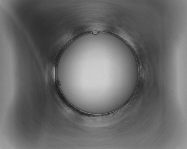 X0000110690013200906191516