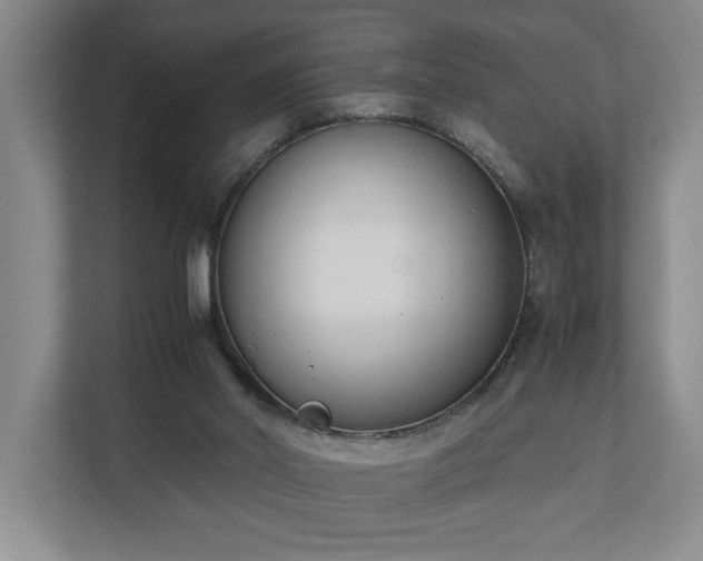 X0000110690014200906191516