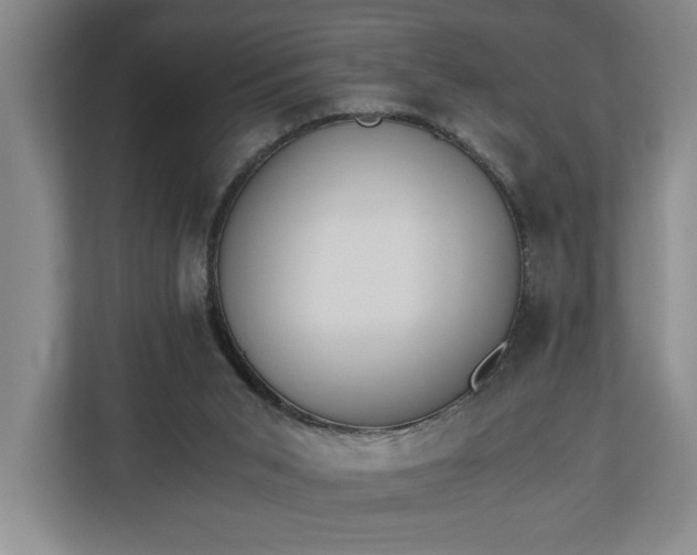 X0000110690015200906191516