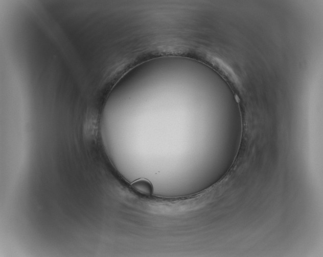 X0000110690017200906191516