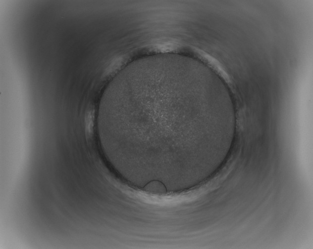 X0000110690018200906191516