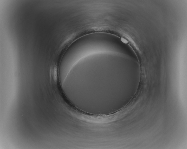 X0000110690019200906191516