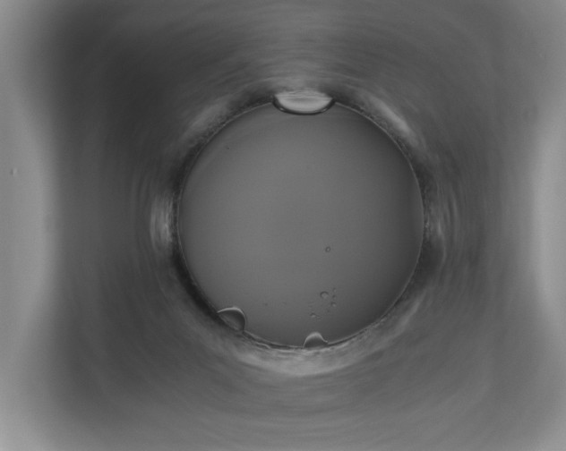 X0000110690023200906191516