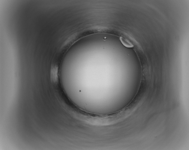 X0000110690024200906191516