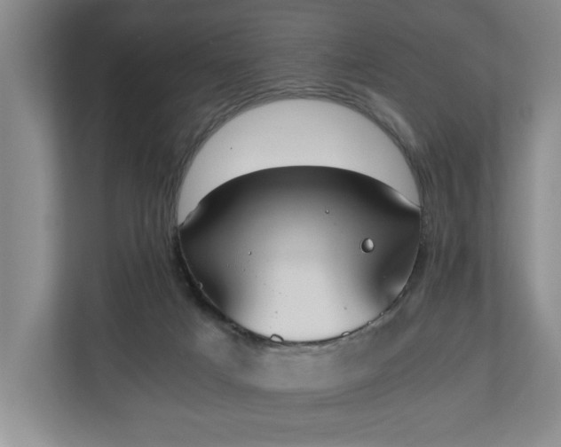 X0000110690025200906191516