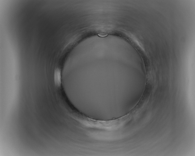 X0000110690027200906191516