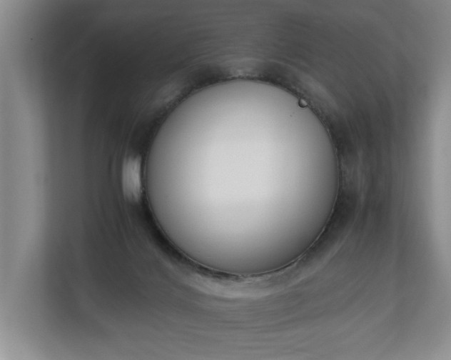 X0000110690028200906191516