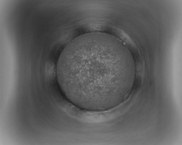 X0000110690029200906191516