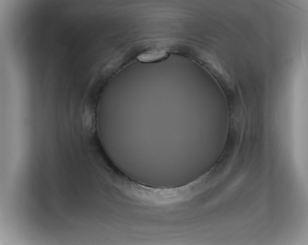 X0000110690031200906191516