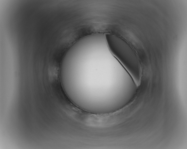 X0000110690033200906191516