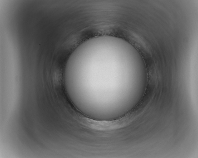 X0000110690034200906191516