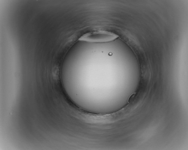 X0000110690036200906191516